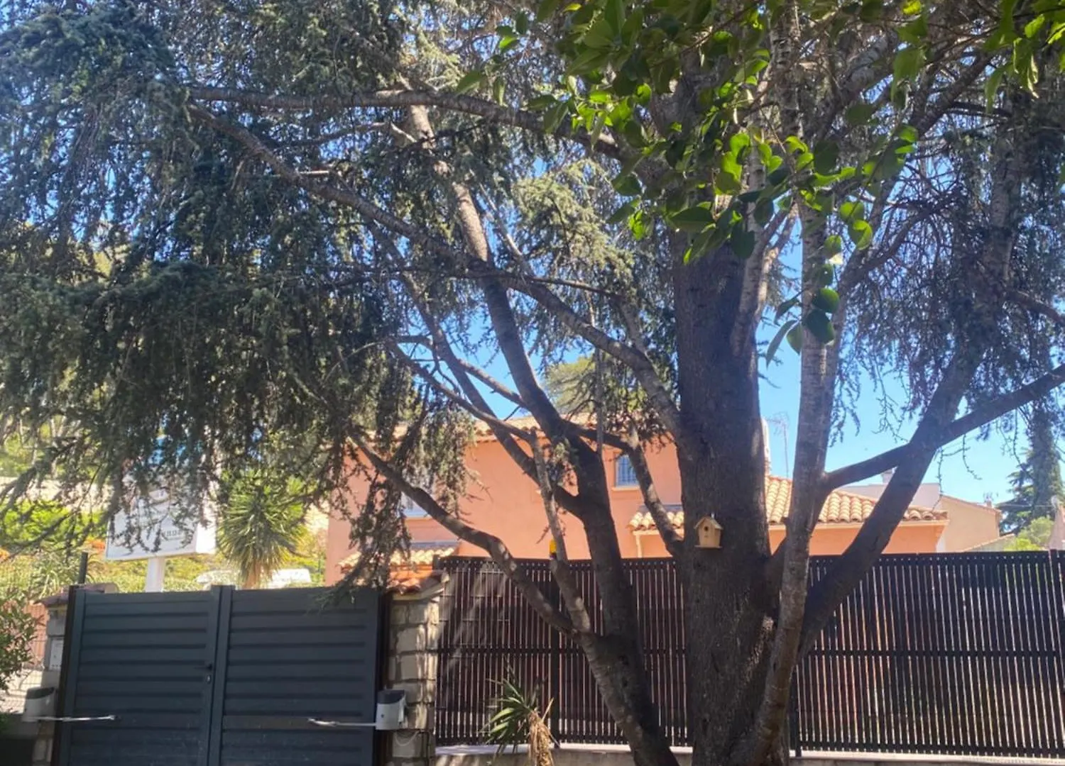 Rez De Villa Grand T2 Proche Plage Marvivo-Sablettes La Seyne-sur-Mer Hébergement de vacances